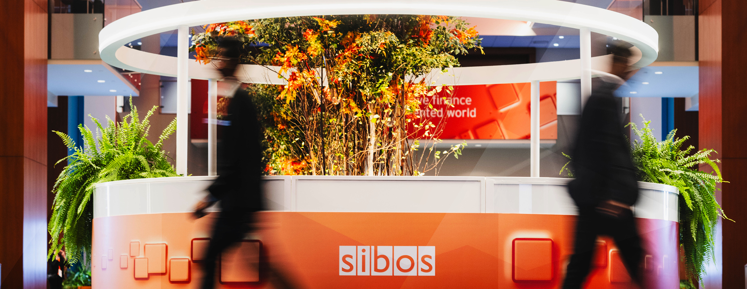 Orange tree planter with sibos written on it