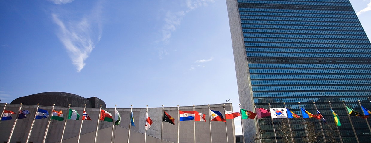 Colorful flags of the world waving in the wind in front of the United Nations building.