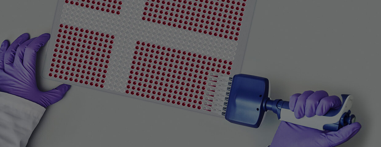 Antibody-builders-1240x480-1.jpg
