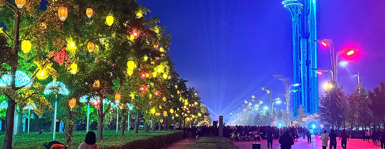 Illuminated trees and buildings