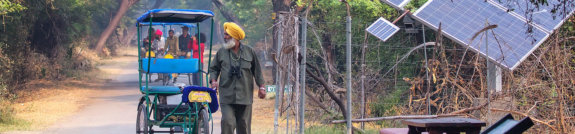 Cycle Rickshaw Walking In Keoladeo Ghana National Park In Bharatpur