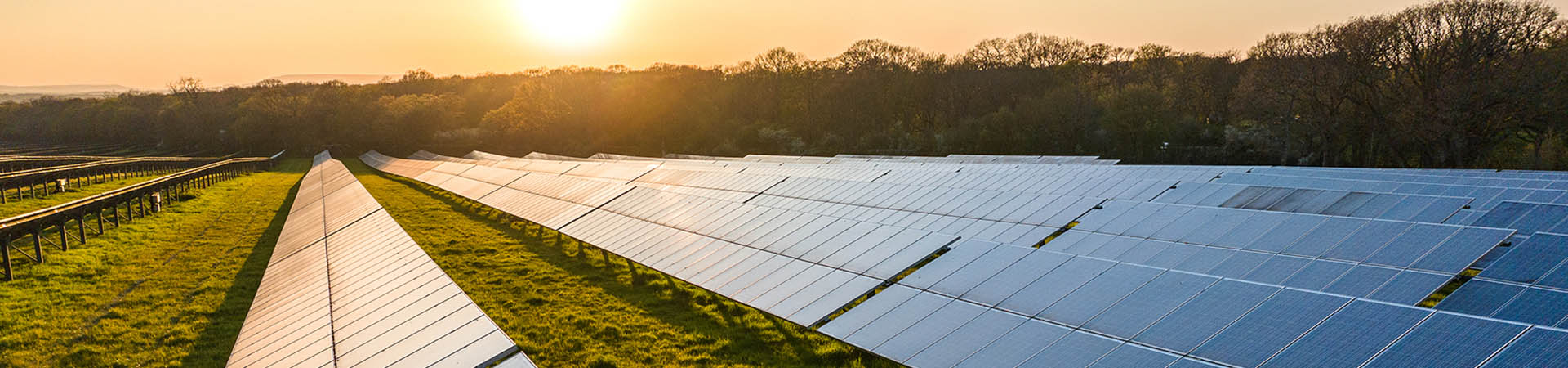 Solar panels in the sundown light
