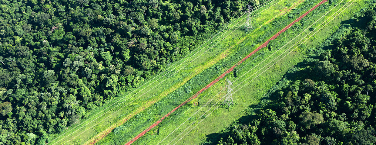 Power supply lines through forest