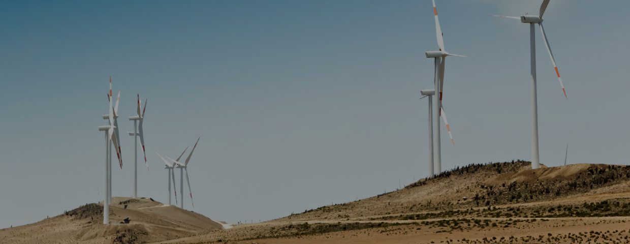 Windmills on hills facing the gales