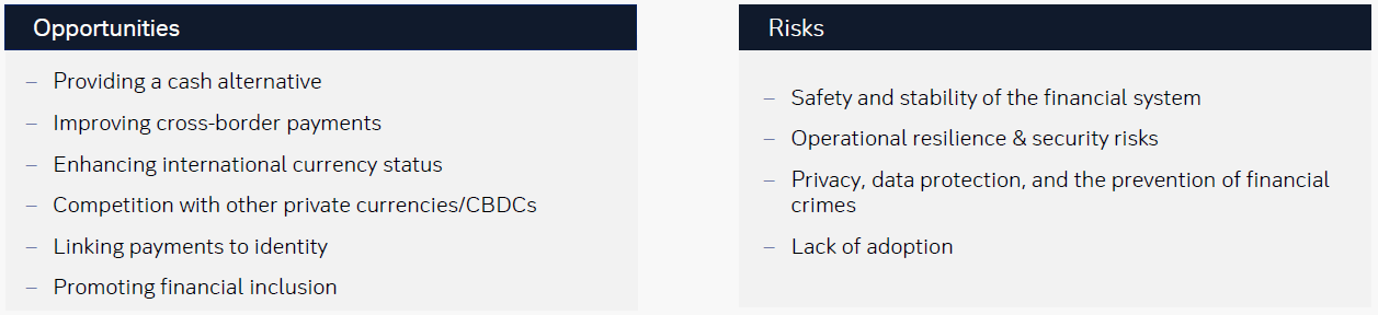 Figure 6: Opportunities and risks of digital currencies