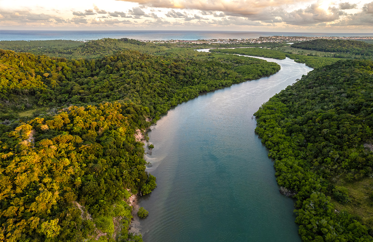 Atlantic Forest River In Brazil