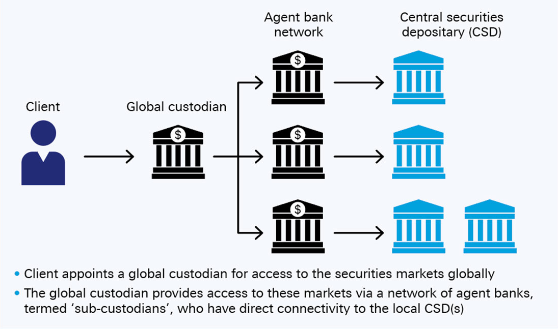 Figure 1: Summary of global and agent bank relationships