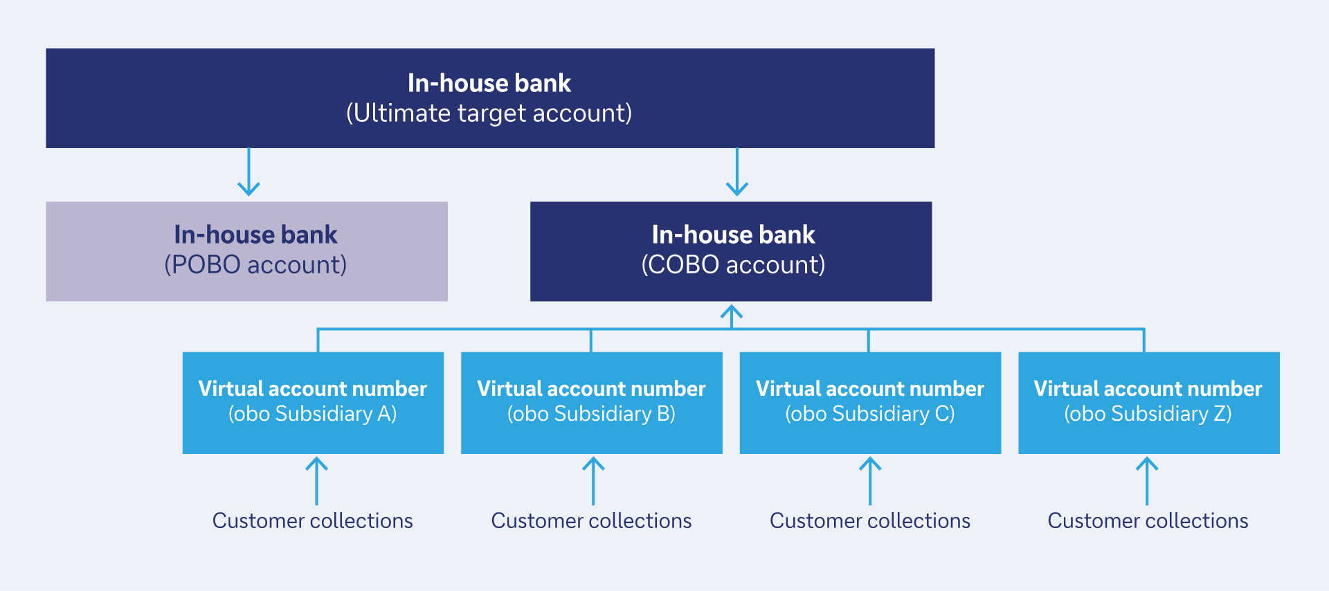 Figure 1: Summary of virtual accounts structure
